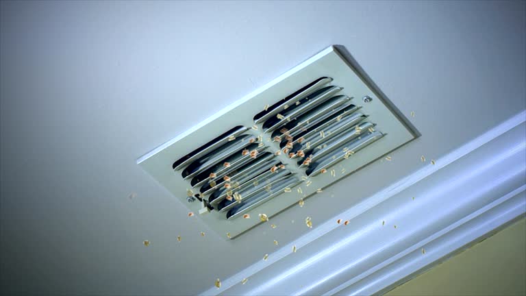 Best HVAC Duct Inspection Services  in Spring Lake, NC