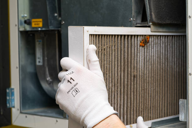 Best Air Quality Test  in Spring Lake, NC